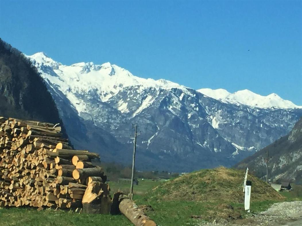 Apartmán Bohinj Barn Exteriér fotografie